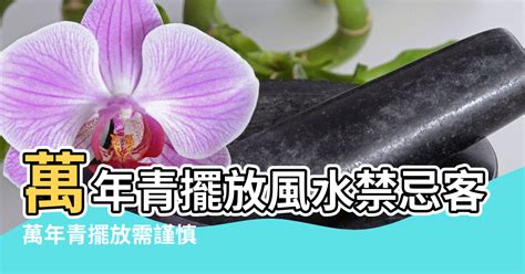 萬年青風水禁忌|【萬年青風水禁忌】客廳擺萬青風水禁忌 